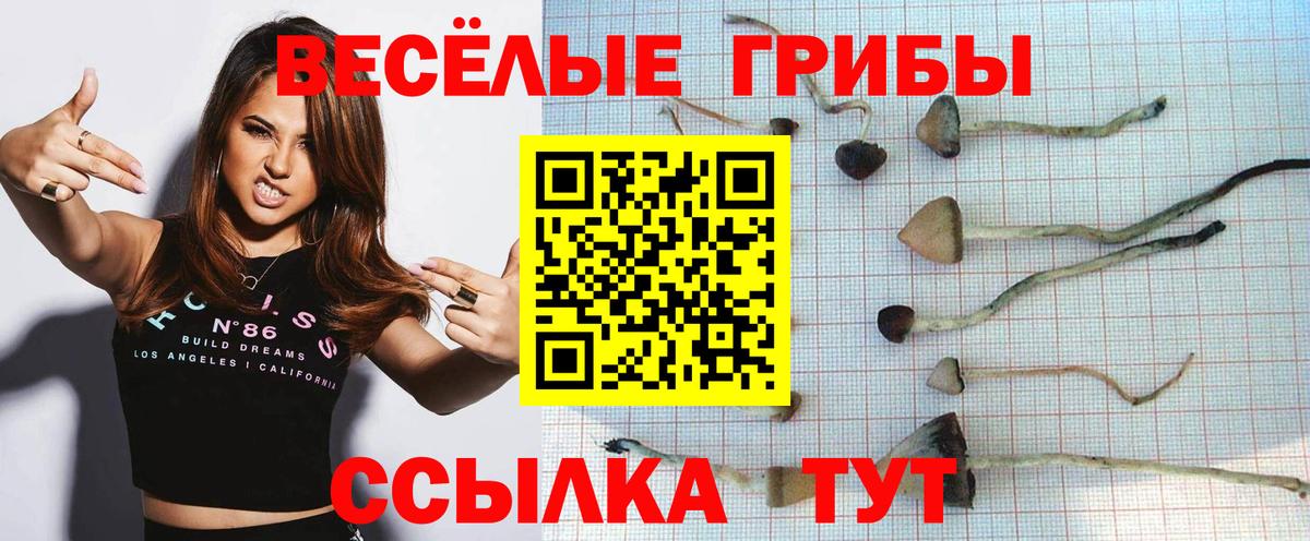 Галлюциногенные грибы Psilocybine cubensis Соликамск